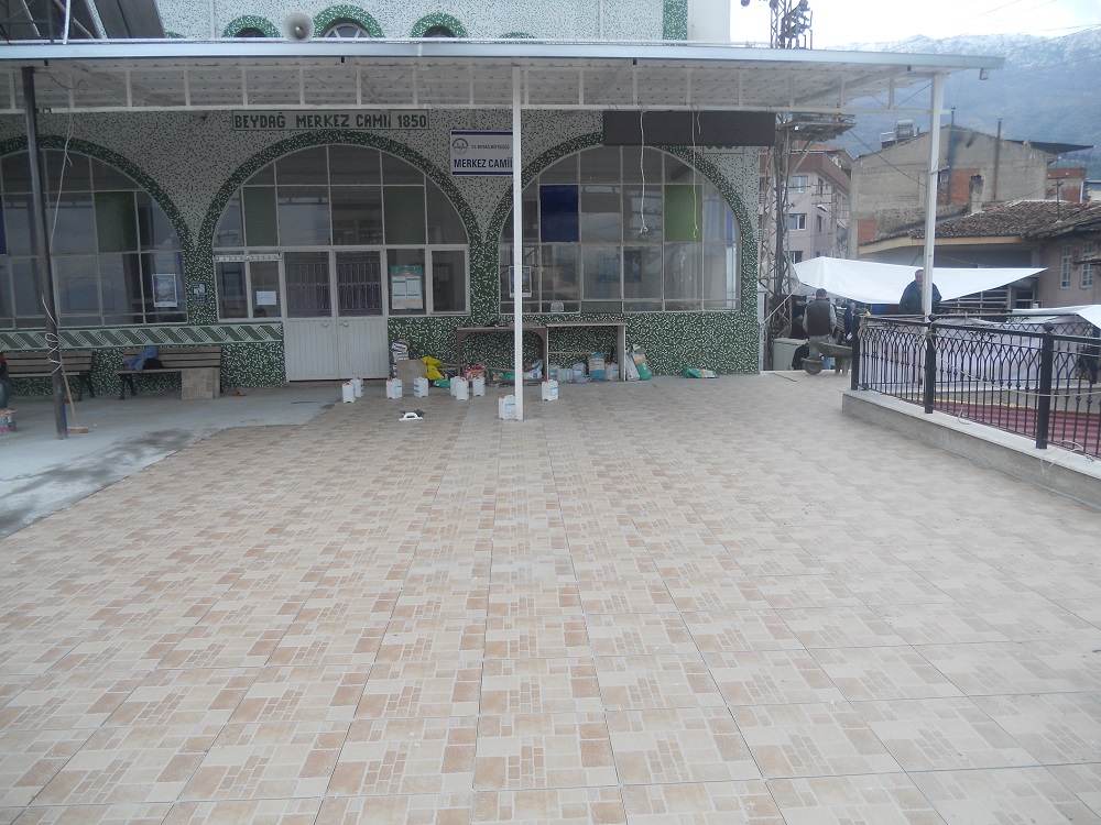 DSCN5518