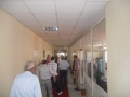 SEÇİLEN (1)